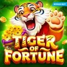 Tiger of Fortune